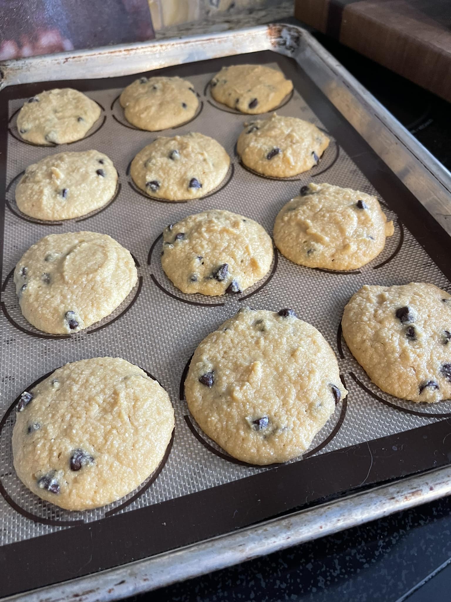 Cookie+ Protein Chocolate Chip